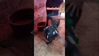 4 Days Left Bakra Eid 2k26 Qurbani 😔😭 #viral #youtubeshorts
