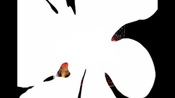 Chúc mọi người sang năm mới tấn tài tấn lộc an khang thịnh vượng làm ăn phát đạt Chúc mừng năm mới