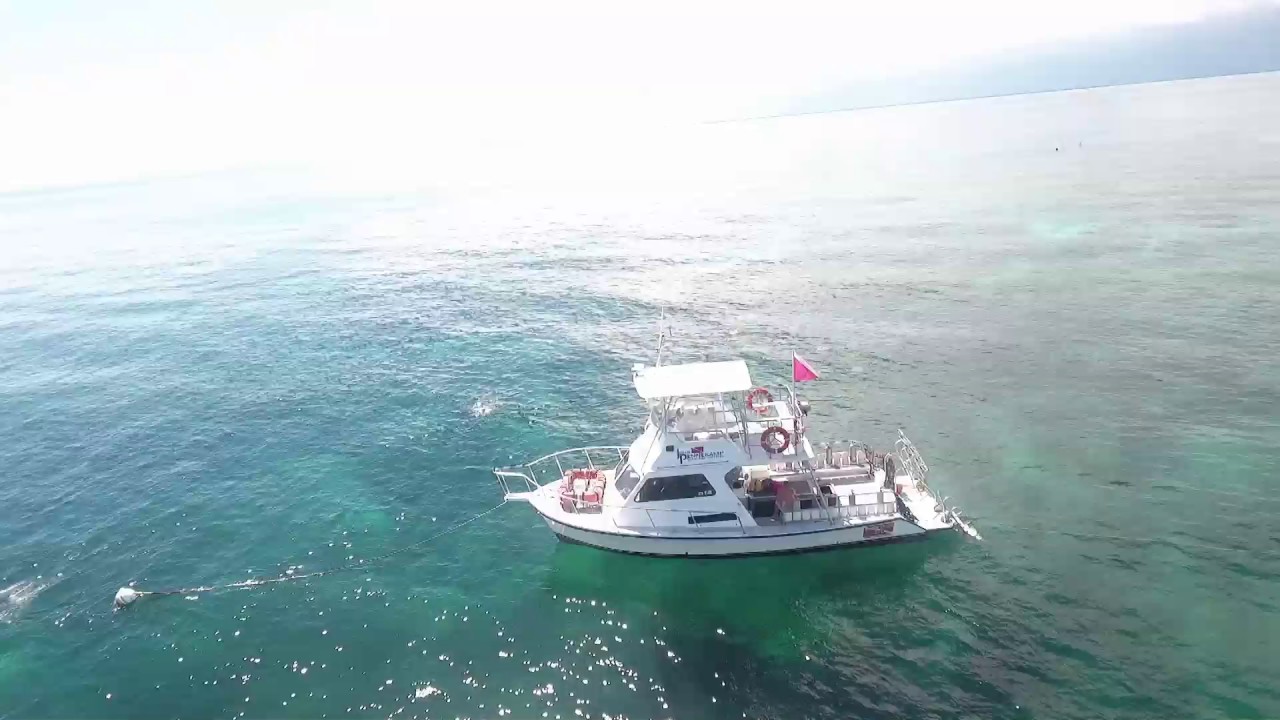 Carysfort reef with Pennekamp Dive Shop