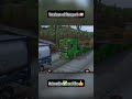 Scania truck🚛 Truckers of Europe 3#truckgames #toe3 #trendingshorts #truckersofeurope3 #edit #viral