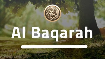 سورة البقرة للقارئ جابر القيطان كاملة / jaber al qattan surah albaqara