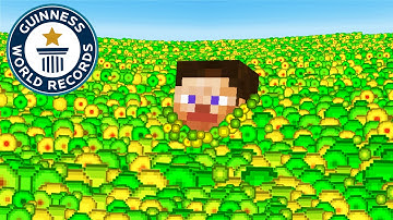 I Broke 176 IMPOSSIBLE Minecraft Records in 2 Years