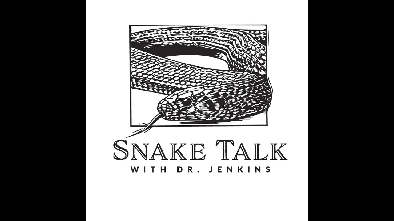 117 | Snake Venom with Dr. Stephen Mackessy