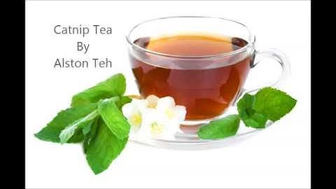 Catnip tea video recipe