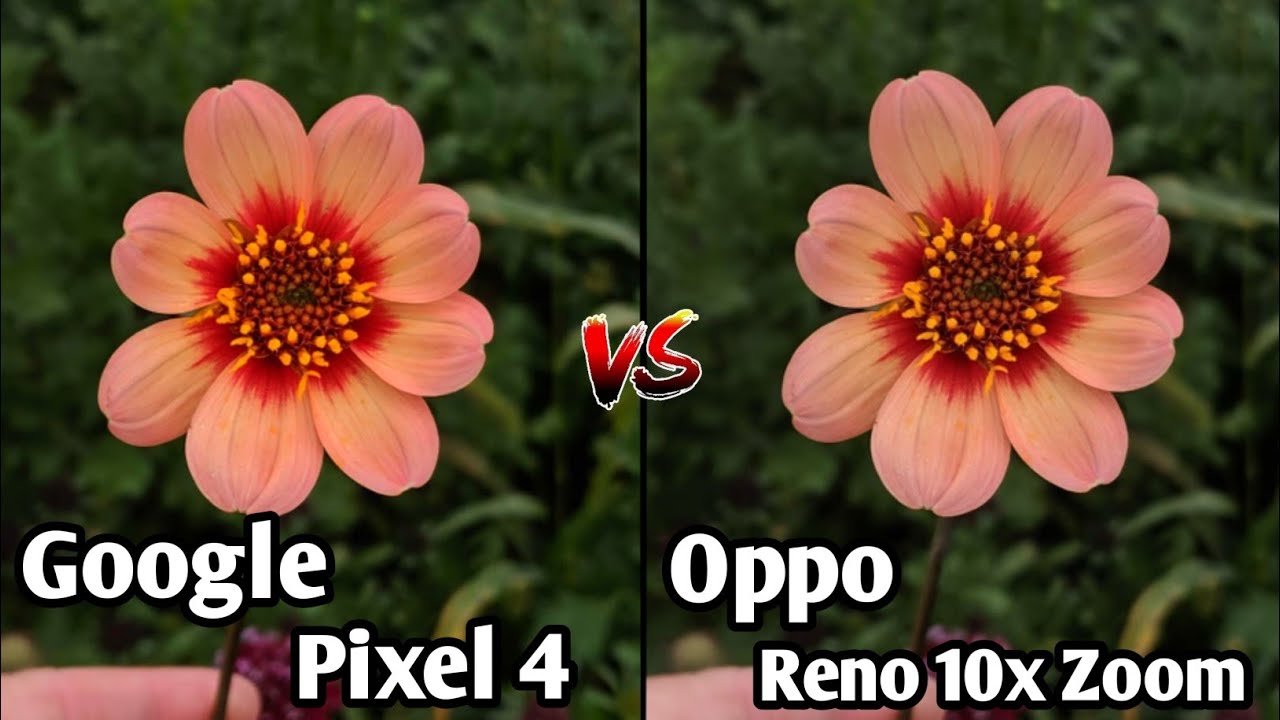 Google Pixel 4 VS Oppo Reno 10x Zoom Camera Comparison, Which is Better Camera Camera Review