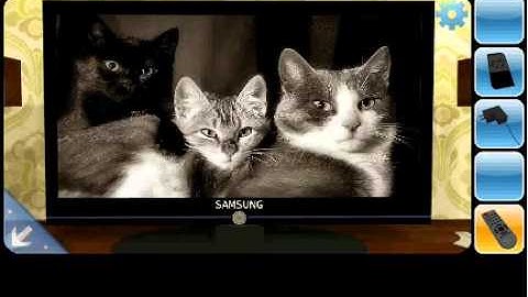 Can you Escape Level 8 Video Walkthrough IPad