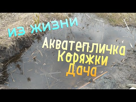 Видео: Из жизни:Аква-тепличка,коряжки,дача.