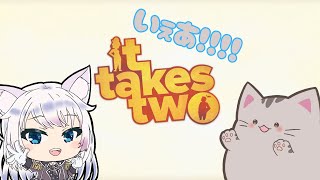 【#Ittakestwo 】#3 手紙の最後のピースを探すぞっ！！！【#智奈ちほ ／#曇月りつ ／#初見大歓迎  】