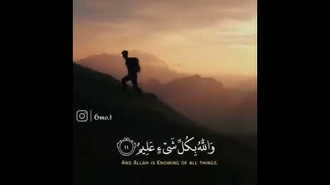 القران الكريم # بصوت # ياسر الدوسري # سورة التغابن، حالات واتساب