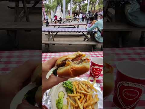 POV: Day 20 of trying to get my $476 worth from my Knotts season pass and dining plan