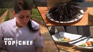 Celebrity Cooking Uni in the Middle of a Vineyard | Top Chef: California Profile