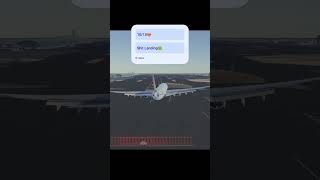 Delta Airlines A330-900 neo crosswind heavy turbulent landing at Dubai Airport #deltaairlines