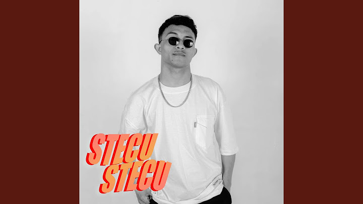 Stecu Stecu