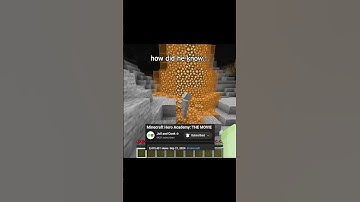 This Minecraft Movie Prediction was Right??