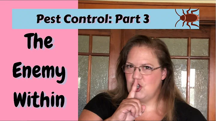 HOW TO DRIVE AWAY THE COCKROACHES - Pest Control:Part 3-THE ENEMY WITHIN