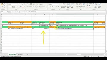 How to Add Products with No Brand or Random Brand on Noon.com | Comprehensive Guide