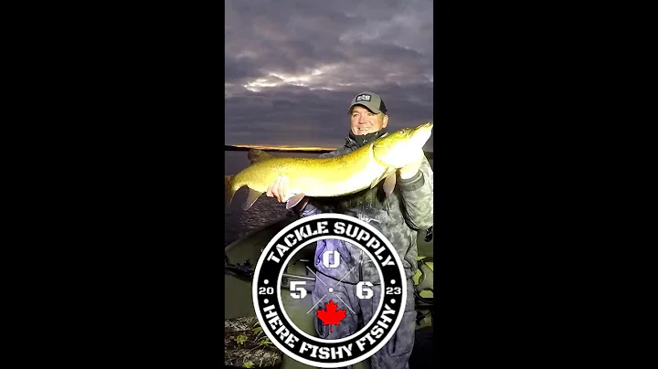 Musky "Fish'n The 506" Saint John River New Brunswick #fish #fishingvideo #fishing #garmin #musky