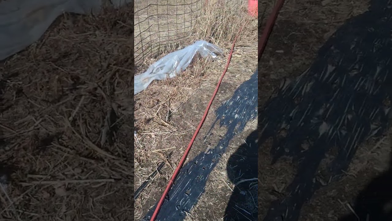 Garden plan for 2026. Flower farm