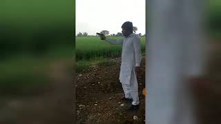 9mm Zigana Firing brust