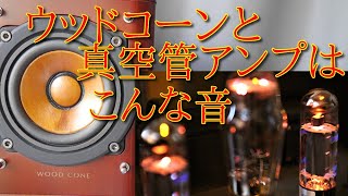 ビクター ウッドコーンフルレンジスピーカーと真空管アンプ 空気録音