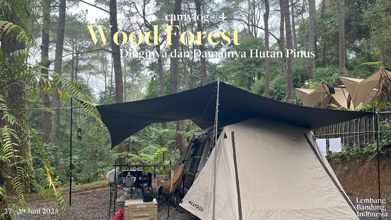 [WOOD FOREST CIKOLE] Camping keluarga di Hutan Pinus yang dingin dan tenang (Lembang, Bandung)
