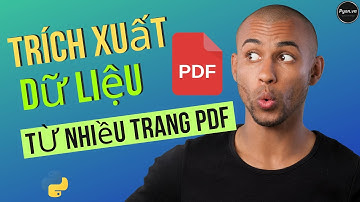 Trích Xuất Dữ Liệu Từ Nhiều Trang PDF - Python Cho Người Mới Bắt Đầu - PyPDF2