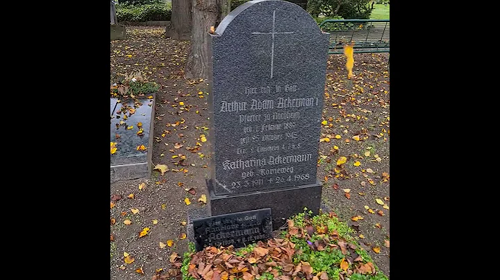 #2024 Herbstlaub und das Grab von Familie Pfarrer Ackermann in #nordheim