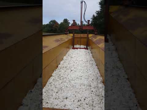 Packing cotton module