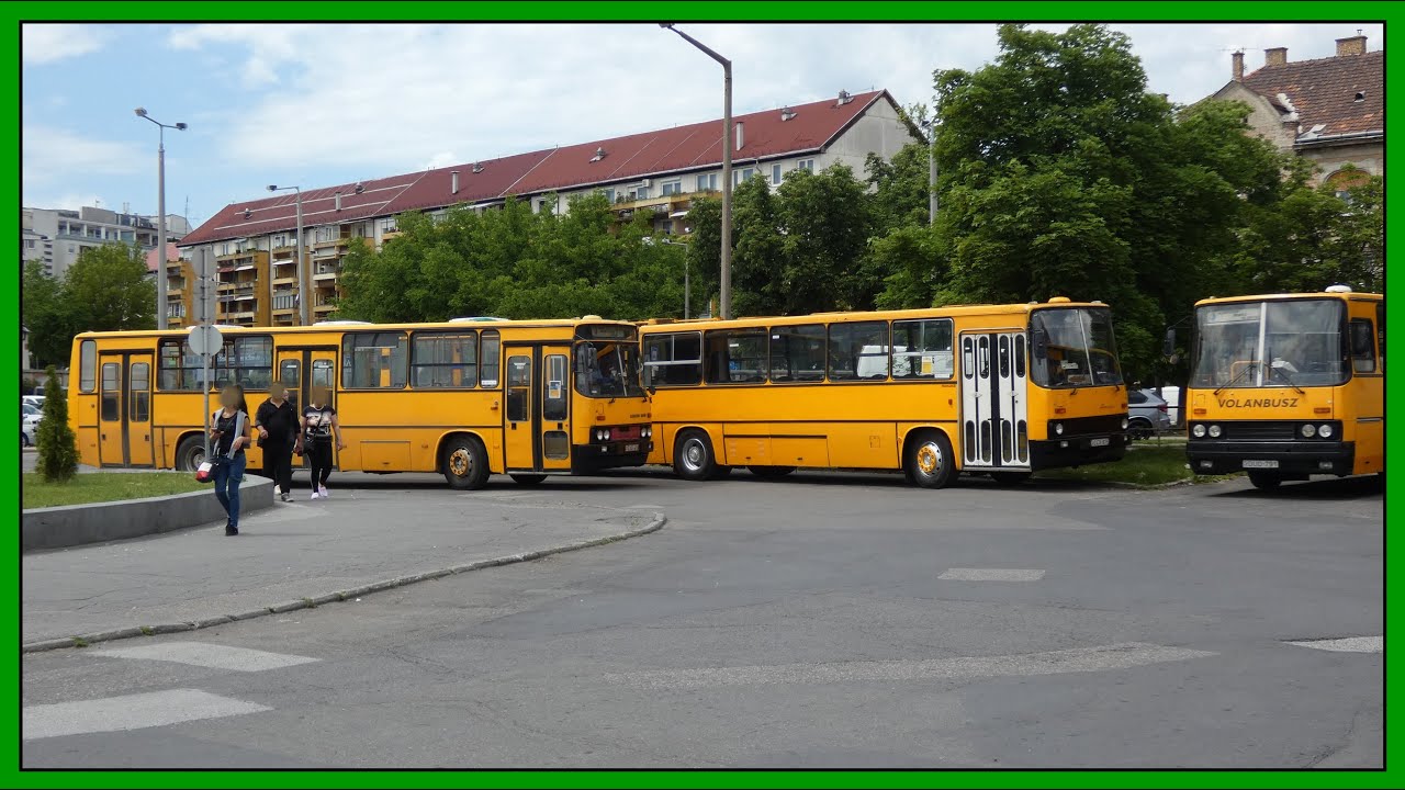 Ikarus buszok Miskolcon - 2020 Július