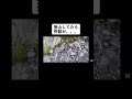 山中に死骸が。。。#shorts