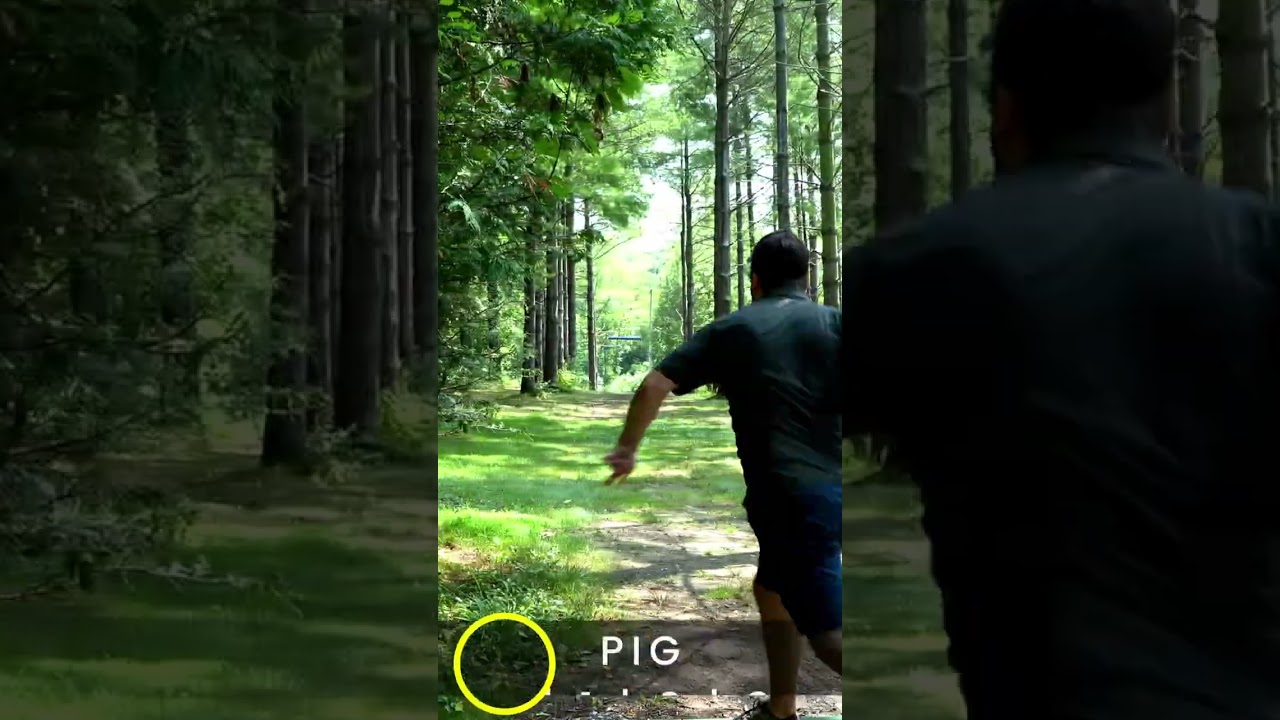 Don’t Be Afraid to Disc Down