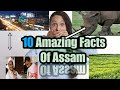       assam  interesting facts about assam facttechz