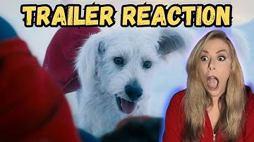 SUPERMAN Official Teaser Trailer REACTION | James Gunn | DC Studios