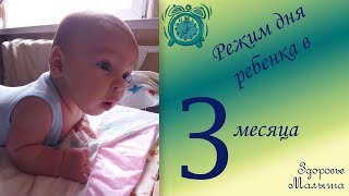 Режим дня ребенка 3 месяца Режим дня ребенка 3 месяца