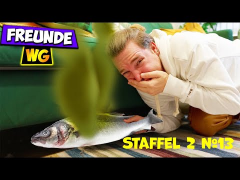 IHHHH!!! Ein Stinkefisch unter dem Sofa! Freunde WG #13
