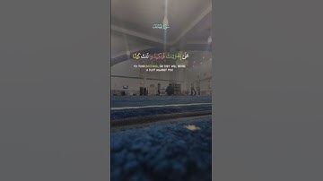 تلاوة خاشعة تريح القلب #قران #quran #لايك #duet #tiktok
