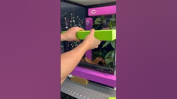 Geckopia Reptile Flex Bridge is Warping?