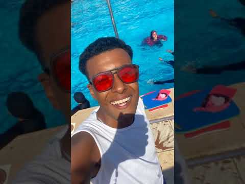 مهرجان احب اجبها وهي طيراه واحد اتنين تلاته اربعه محمد رمضان