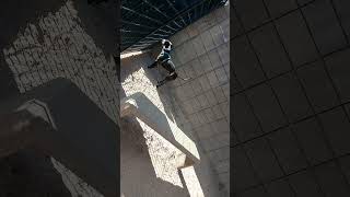 Bodhi 3 Yr Old A761380 Leah 3 Yr Old A761381 Kennel 143 In Main Shelter For Pacc Pink Playing 054