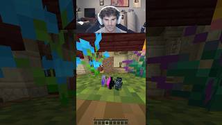 Minecraft hide and seek