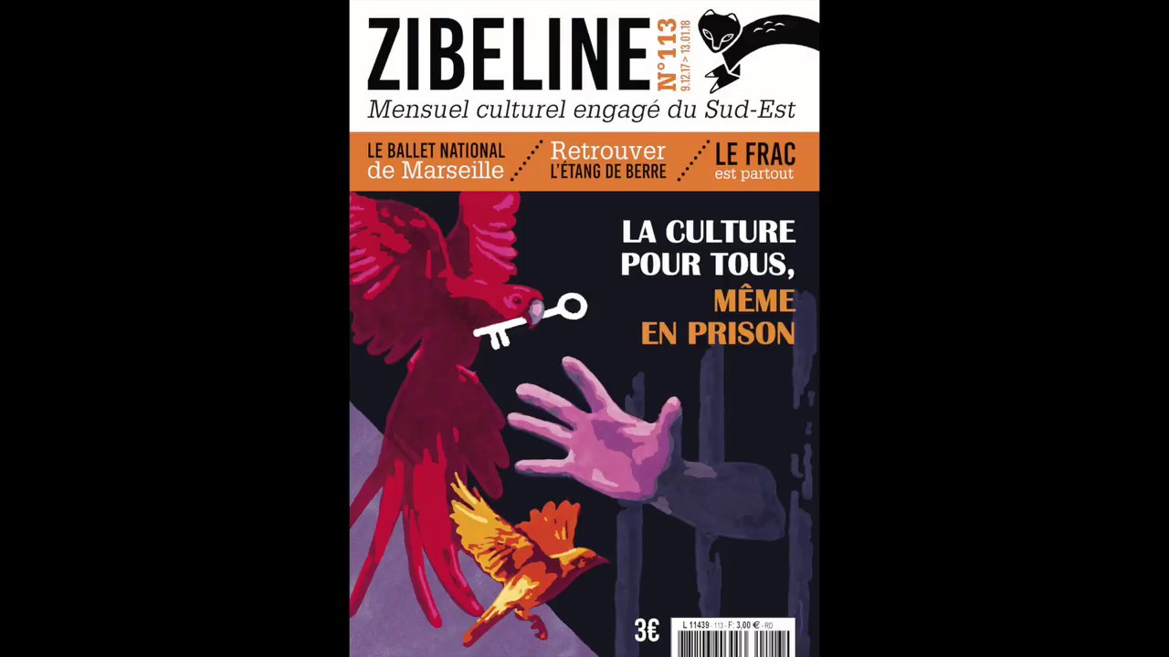 WebTV Zibeline - Demandez Zibeline 113 !