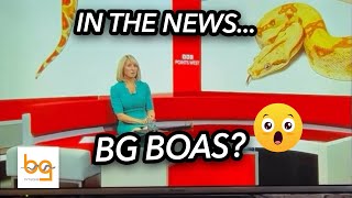 Celebrity 🐍 Rescuing a Boa Constrictor Found in a Garden | Unexpected Snake Rescue! Profile