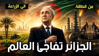 كيف تبني قوة اقتصادية وزراعية تغيّر موازين إفريقيا؟