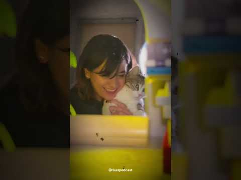 مفهوم سایه به چه معناست