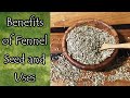 Benefits and Uses of Fennel Seed