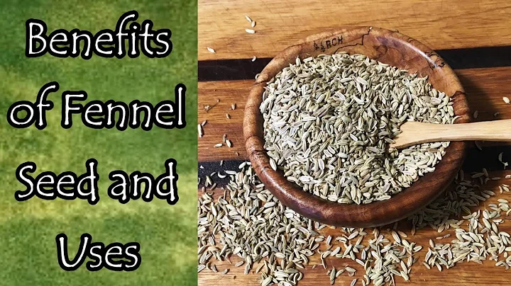 Benefits and Uses of Fennel Seed - DayDayNews