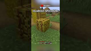 I Found The Funniest FAKE Minecraft Speedrun…