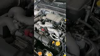 Промывка (чистка) форсунок на Subaru Forester SH 2.0 EJ204 без снятия с двигателя. Lavr ML101