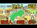 ゲノムが明かした日本人のルーツ！渡来人が四国に多かった衝撃の理由