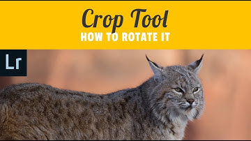 Rotate Your Crop Tool | Lightroom Classic CC